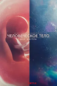 Человеческое тело: мир внутри